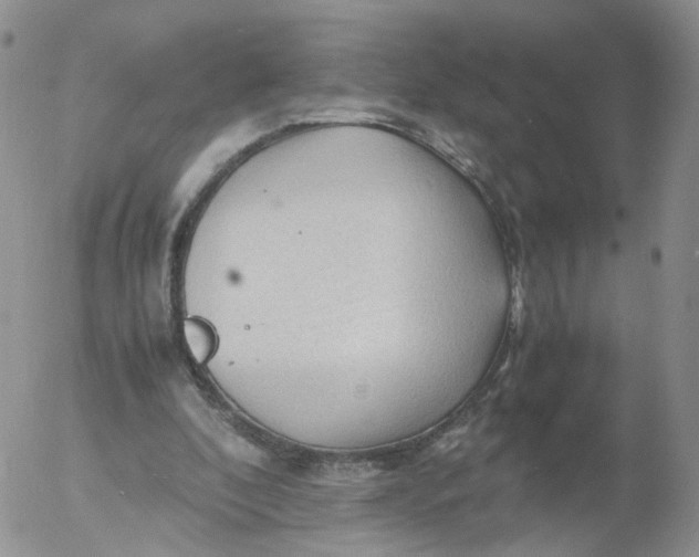 X0000053090296200508012040