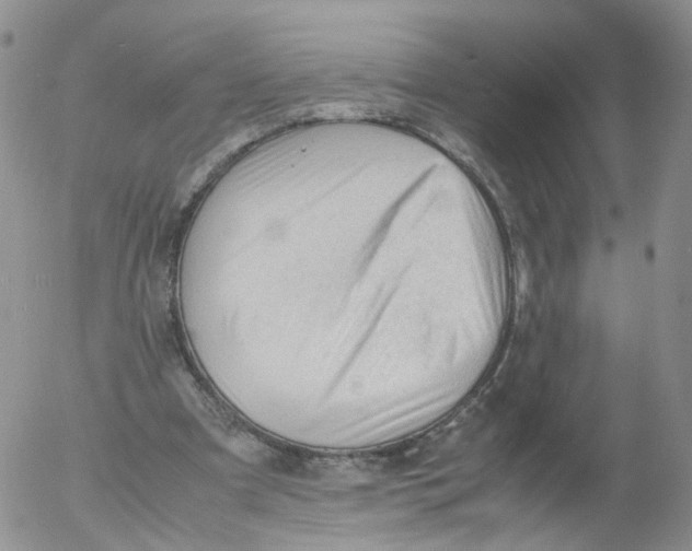 X0000053090297200508012040