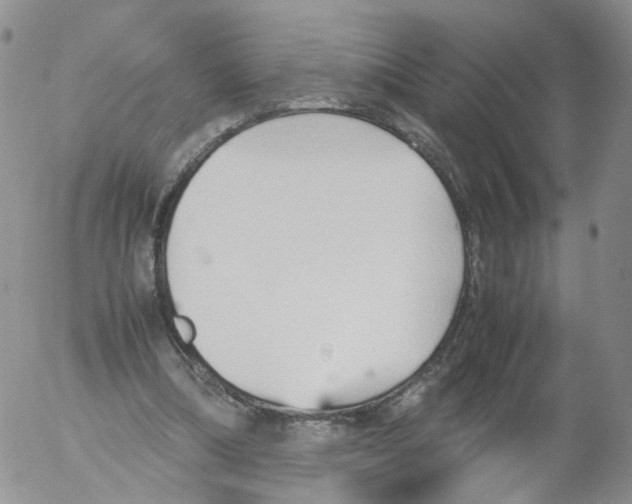 X0000053090298200508012039