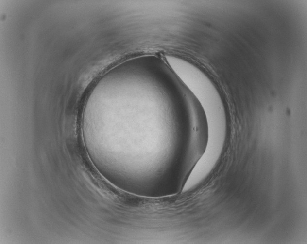 X0000053090299200508012039