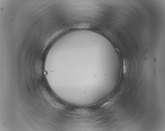 X0000053090300200508012039