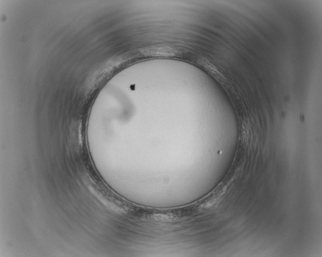 X0000053090302200508012039