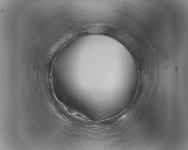 X0000053090303200508012039