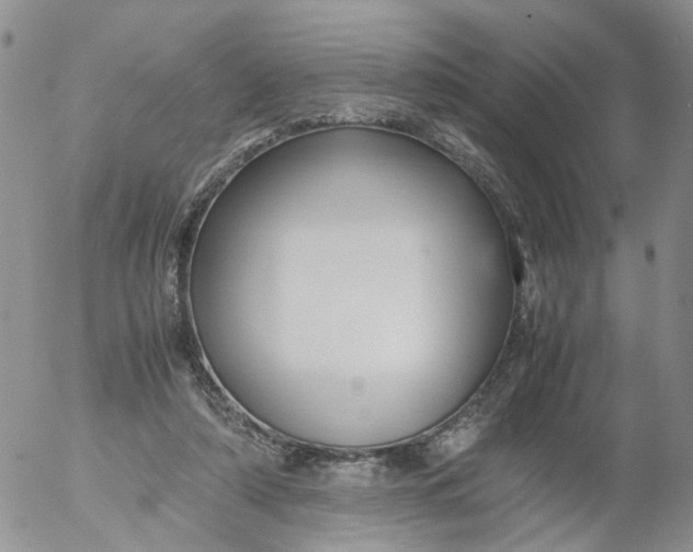 X0000053090306200508012039