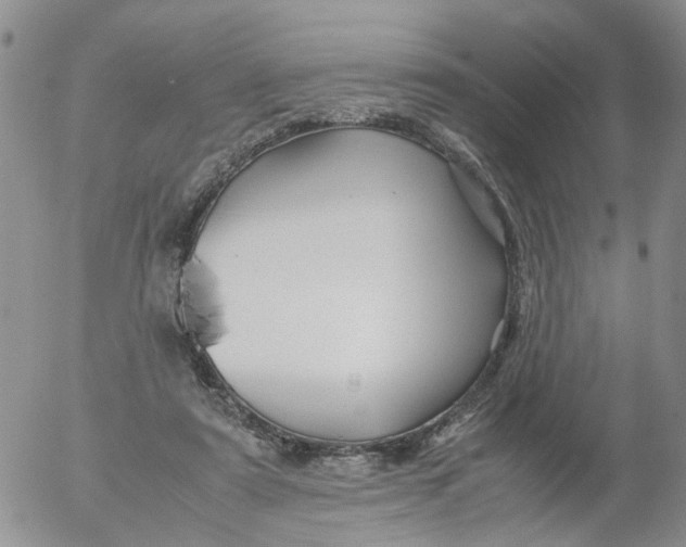 X0000053090307200508012039