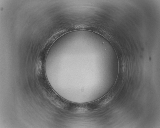 X0000053090308200508012039