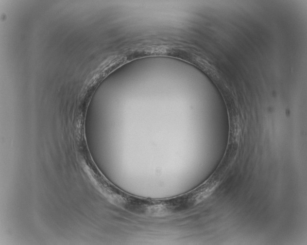 X0000053090309200508012039