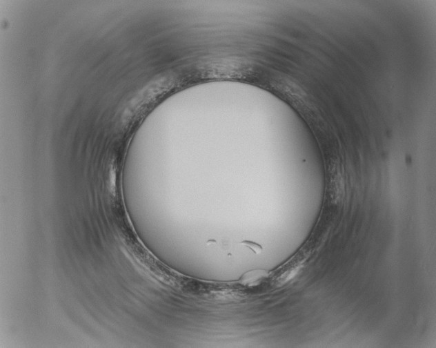 X0000053090310200508012039