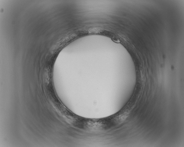 X0000053090311200508012039