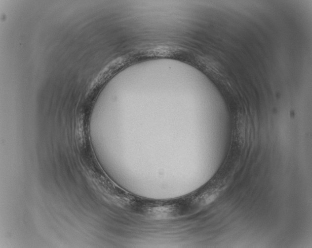 X0000053090312200508012039