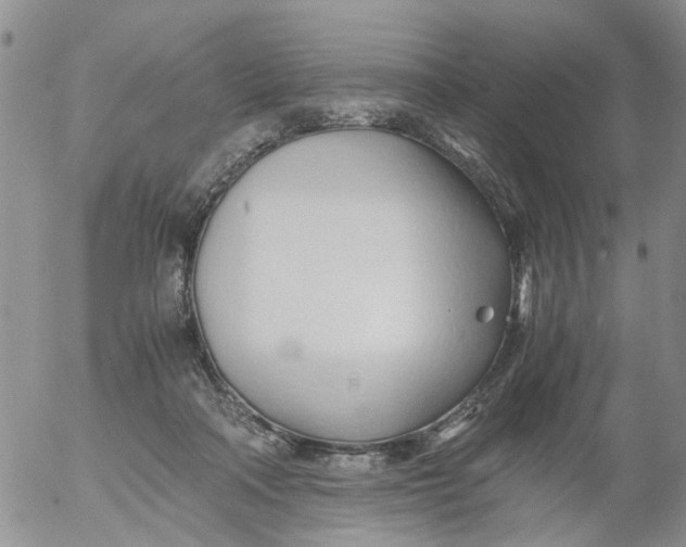 X0000053090314200508012039