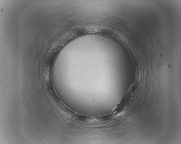 X0000053090315200508012039