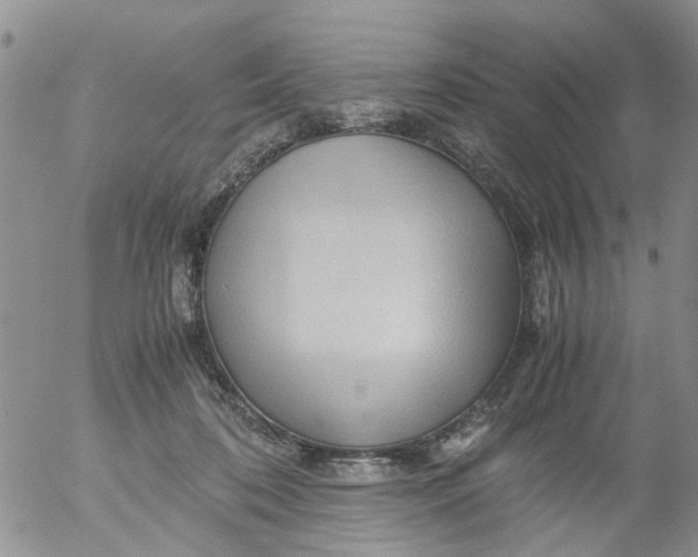 X0000053090316200508012039