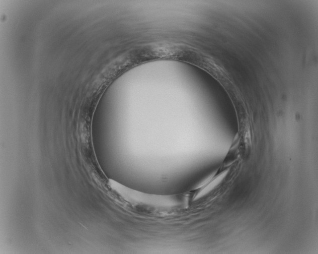 X0000053090317200508012039