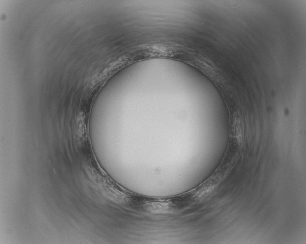 X0000053090318200508012039