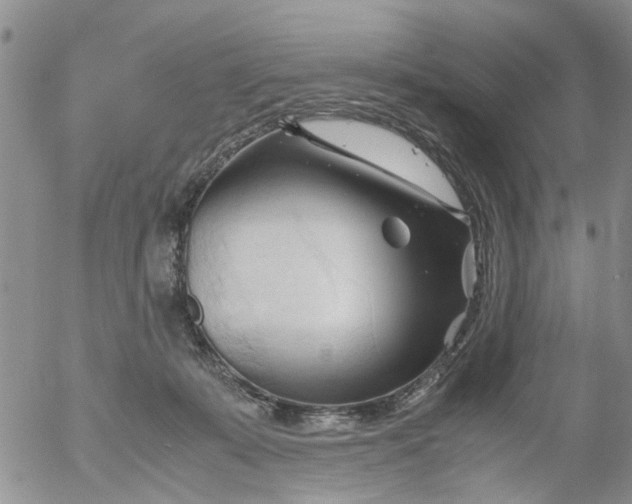 X0000053090319200508012039