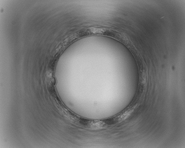 X0000053090321200508012039