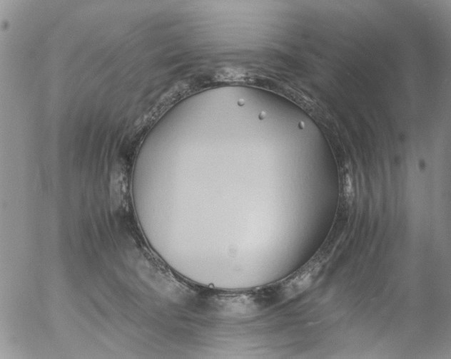 X0000053090322200508012039