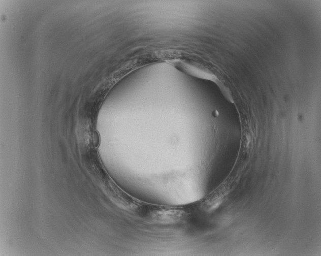 X0000053090323200508012039