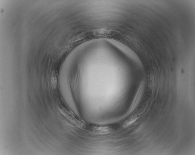 X0000053090324200508012039