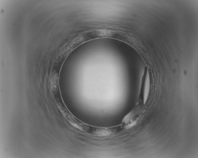 X0000053090325200508012039