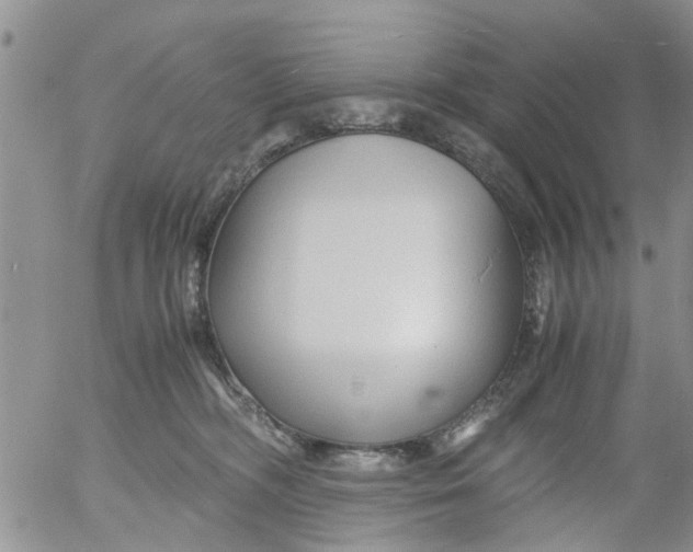 X0000053090326200508012039