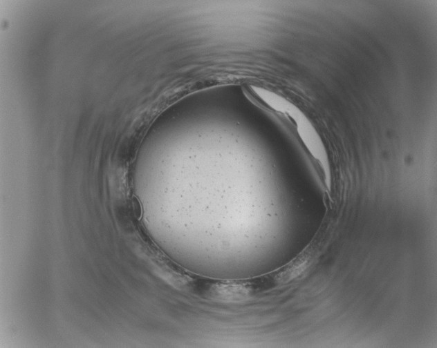 X0000053090327200508012039