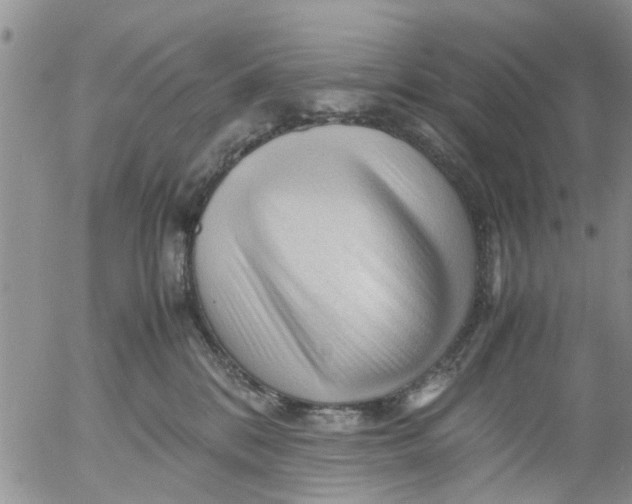 X0000053090328200508012039