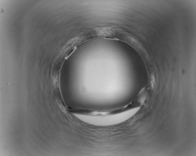 X0000053090329200508012039