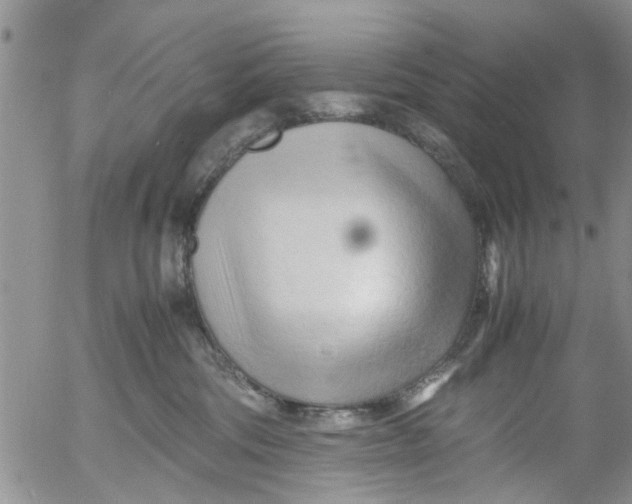 X0000053090330200508012039