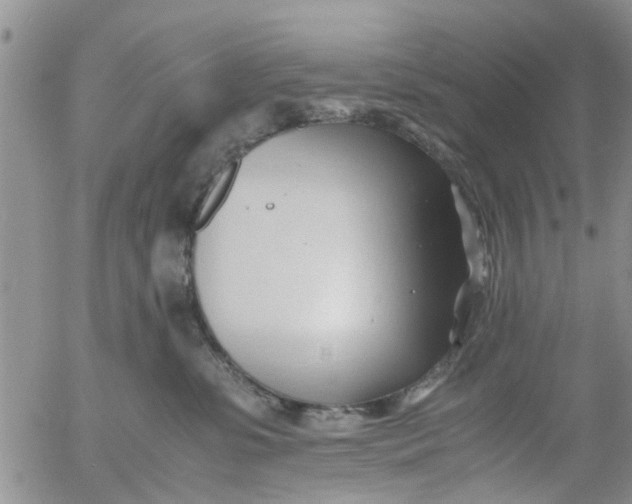 X0000053090331200508012039