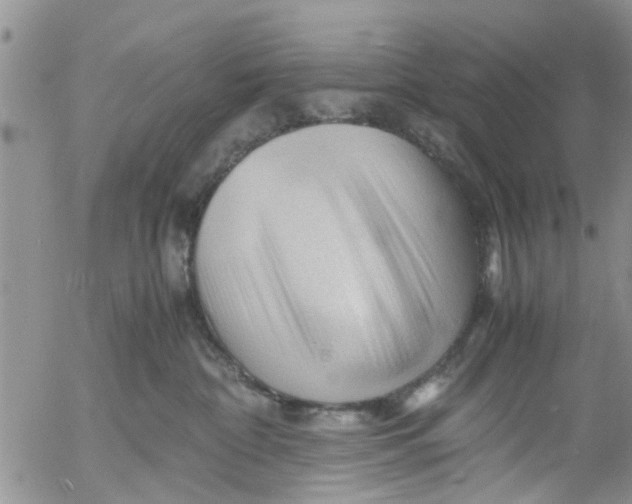 X0000053090332200508012039