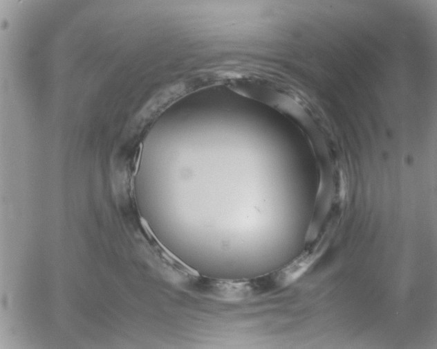 X0000053090333200508012039