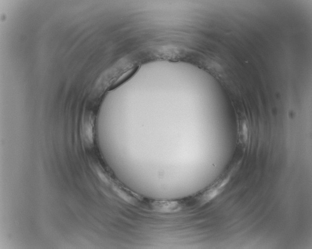 X0000053090334200508012039