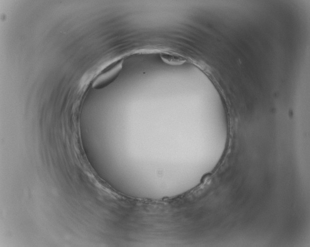 X0000053090337200508012038