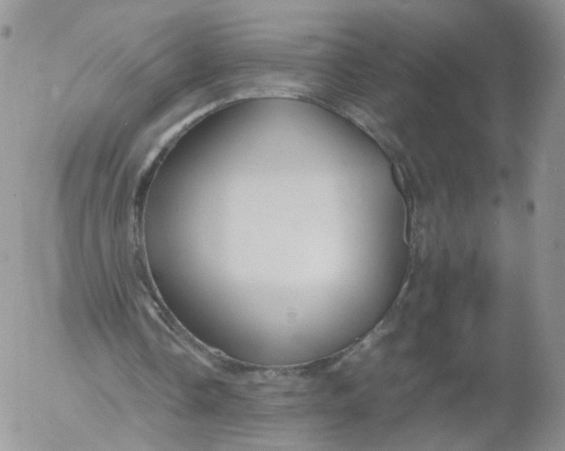 X0000053090338200508012038