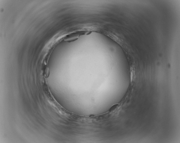 X0000053090339200508012038