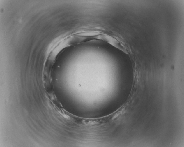 X0000053090340200508012038