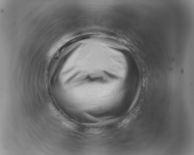 X0000053090341200508012038