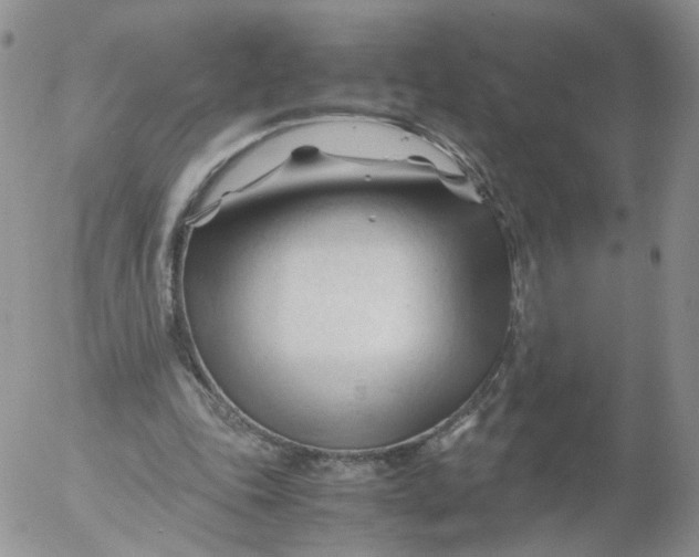 X0000053090343200508012038