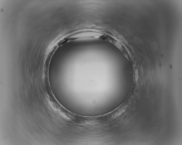 X0000053090344200508012038