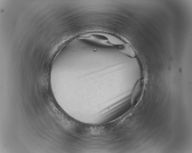 X0000053090345200508012038