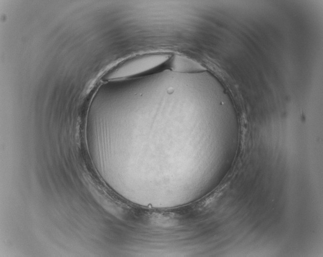 X0000053090346200508012038