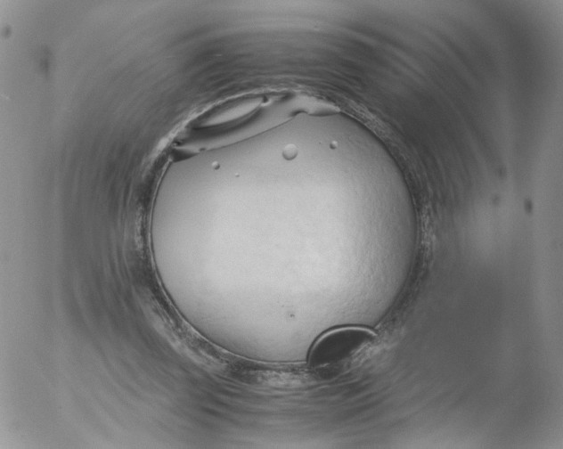 X0000053090347200508012038