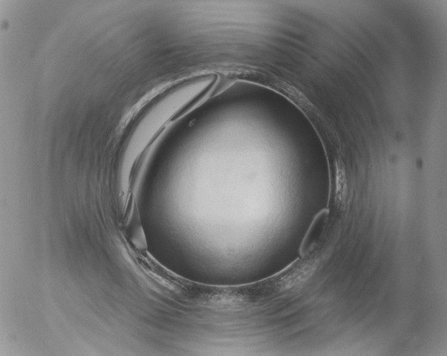 X0000053090348200508012038