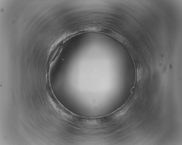 X0000053090349200508012038