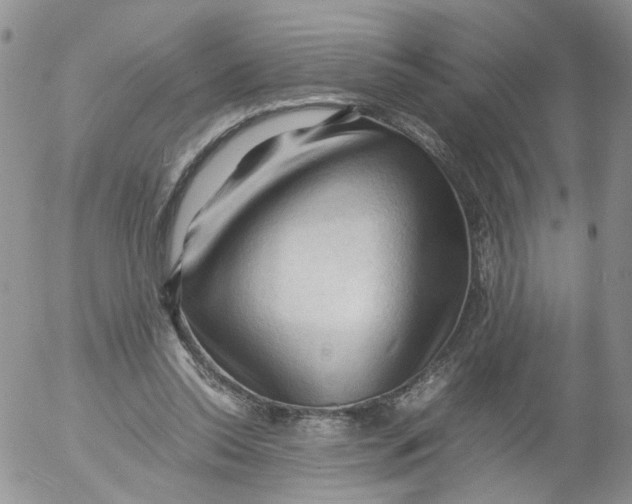 X0000053090350200508012038