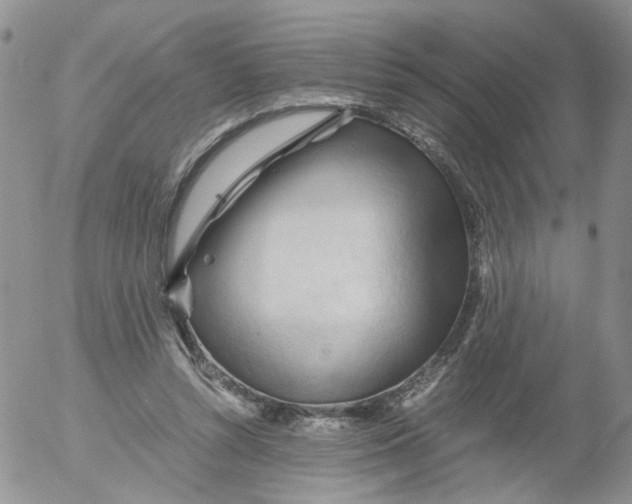 X0000053090352200508012038