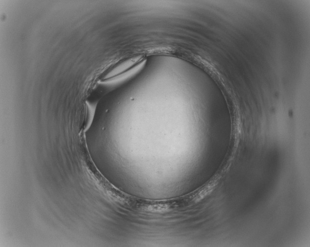 X0000053090353200508012038