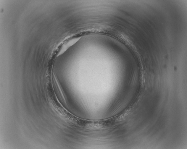 X0000053090354200508012038